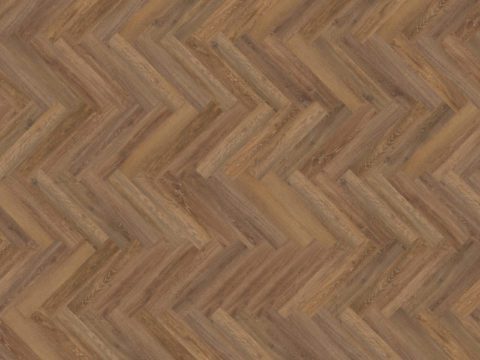 Parva Oak – Liguria