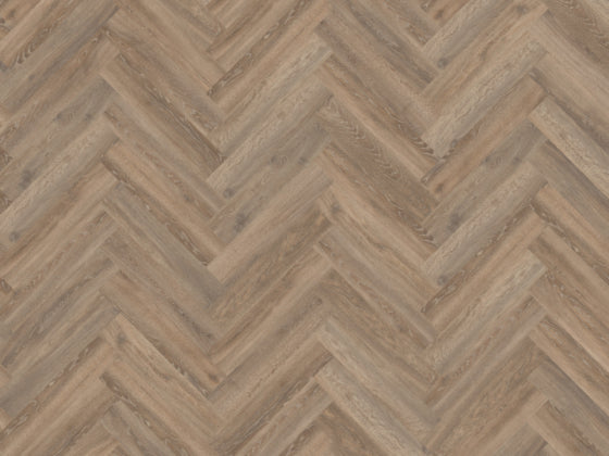 Authentic Parva Oak XL – Calabria