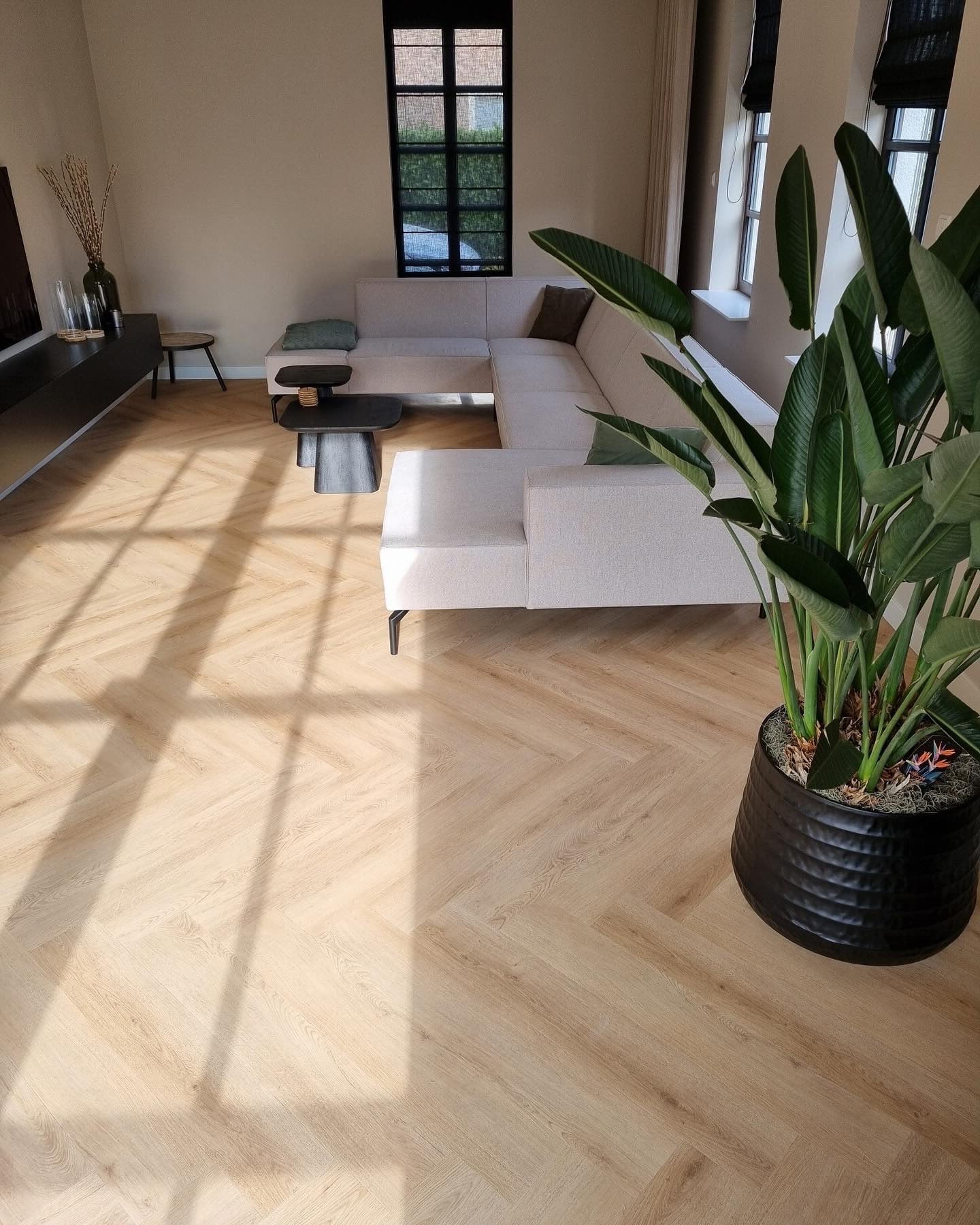 Floer Walvisgraat Click PVC – Cetus Crème