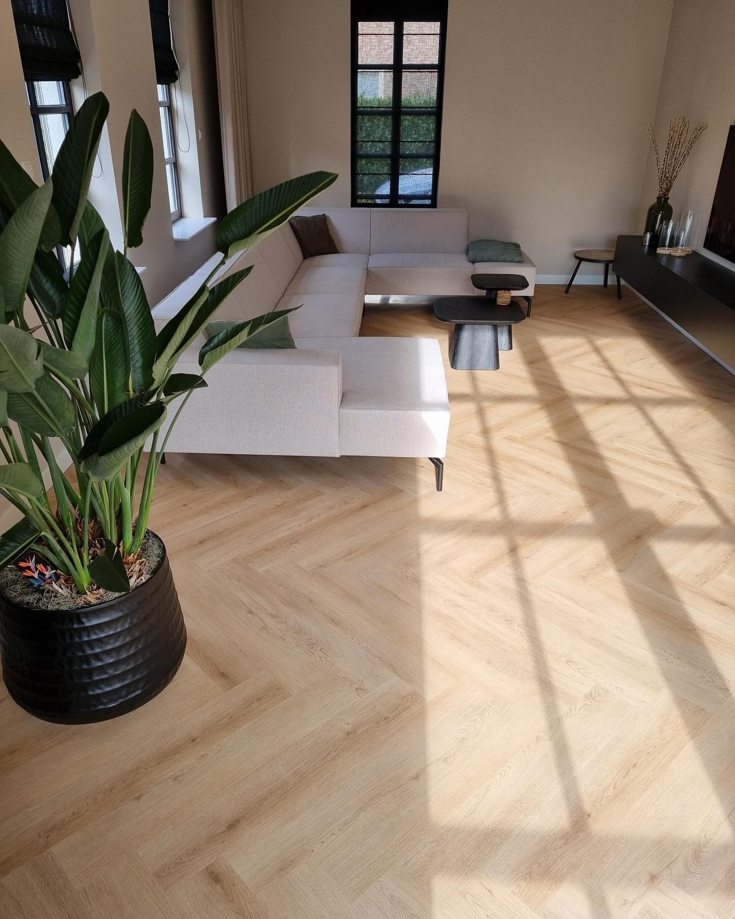 Floer Walvisgraat PVC - Cetus Crème
