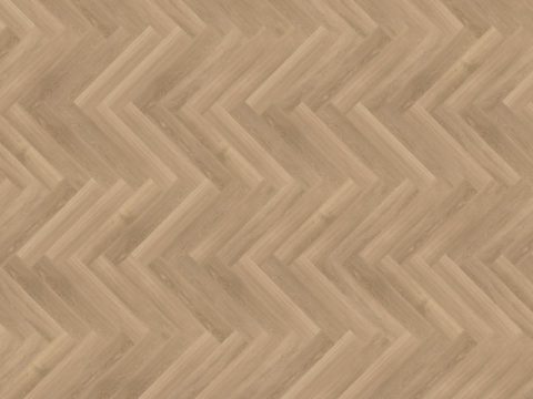 Parva River Oak – Tarn